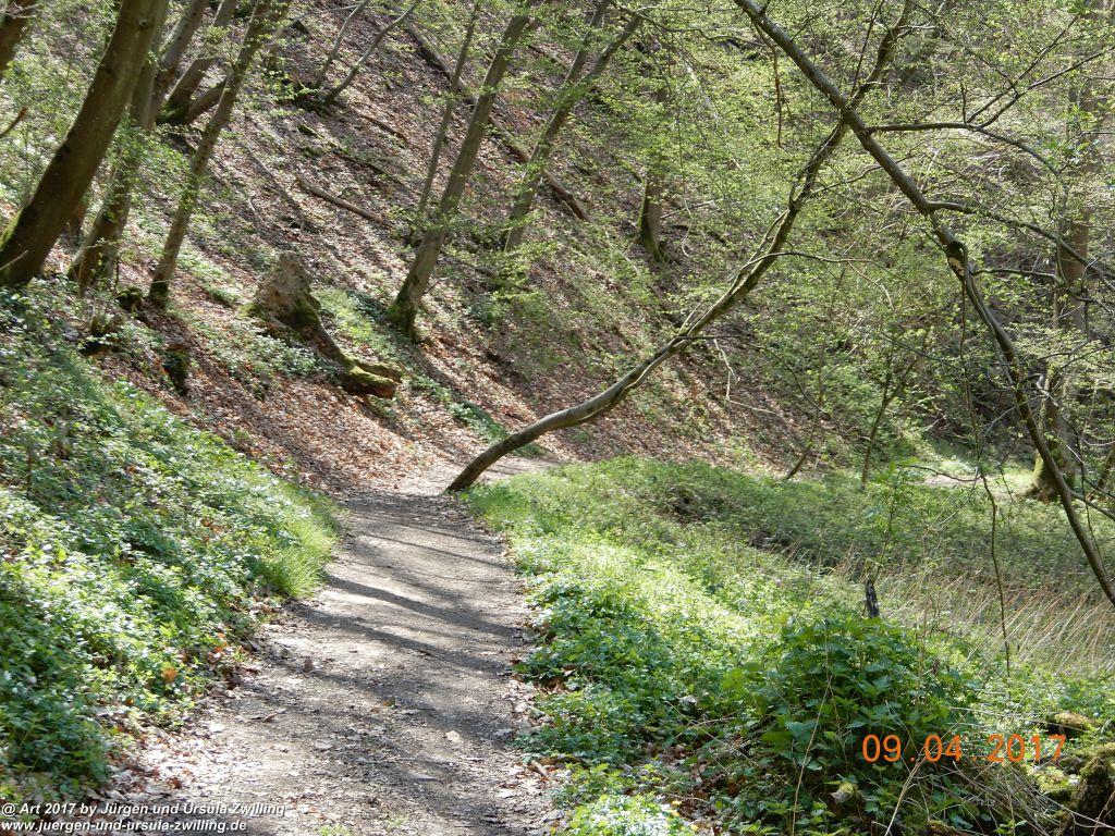 Philosophische Bildwanderung Hatzenporter Laysteig - Wiesen, Wein und weite Blicke - Mosel - Hunsrück