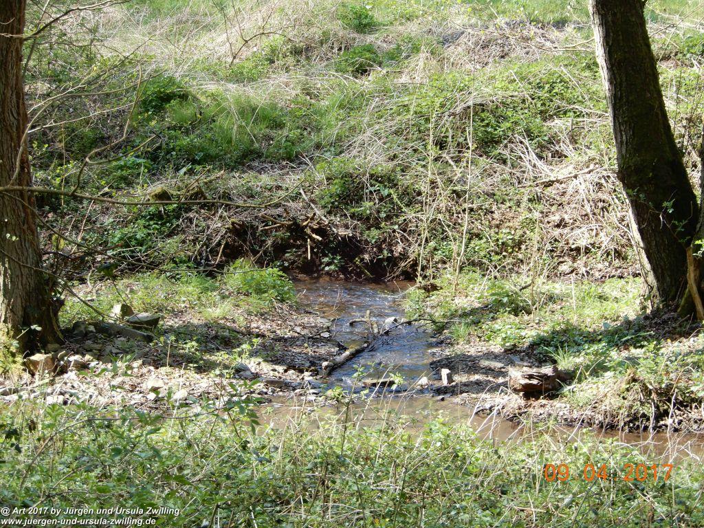Philosophische Bildwanderung Hatzenporter Laysteig - Wiesen, Wein und weite Blicke - Mosel - Hunsrück