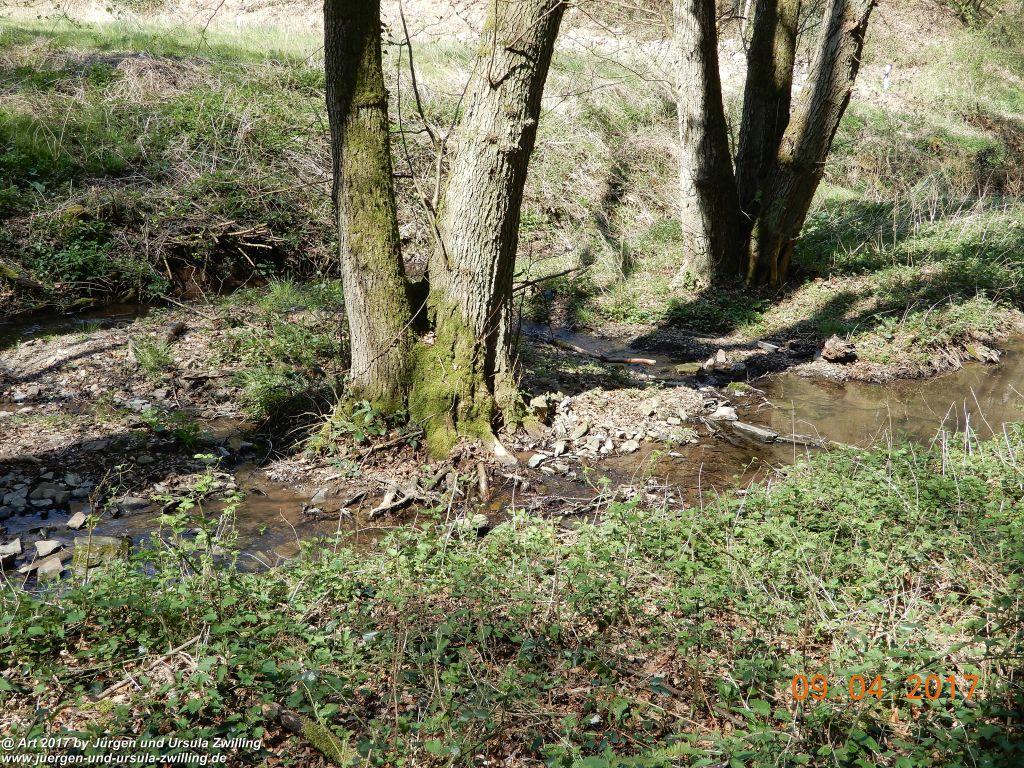 Philosophische Bildwanderung Hatzenporter Laysteig - Wiesen, Wein und weite Blicke - Mosel - Hunsrück