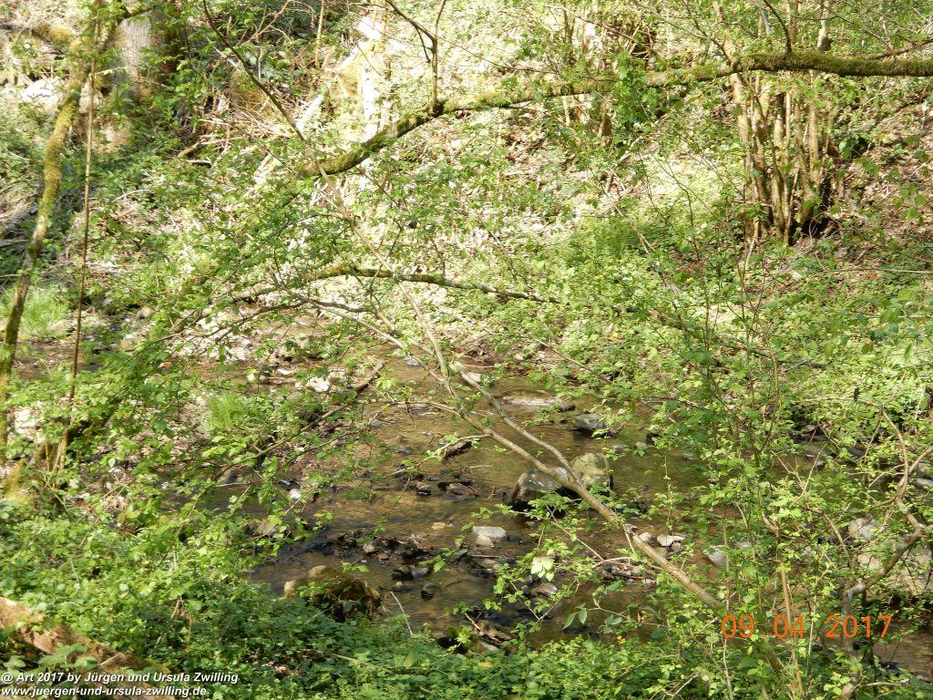 Philosophische Bildwanderung Hatzenporter Laysteig - Wiesen, Wein und weite Blicke - Mosel - Hunsrück