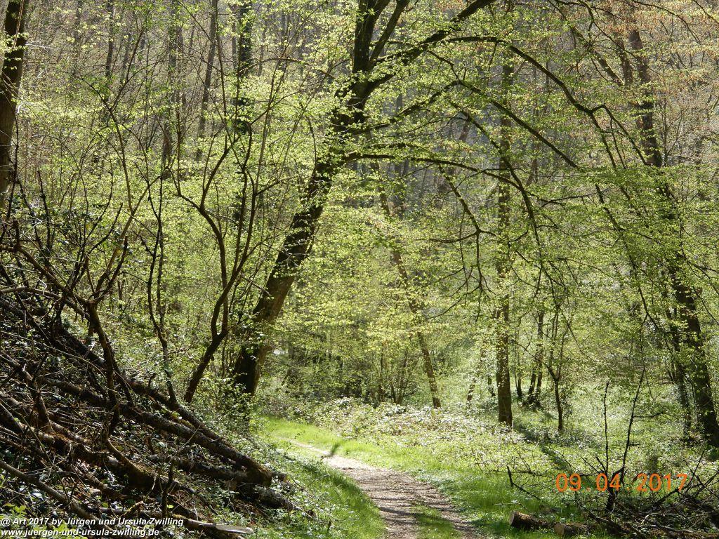 Philosophische Bildwanderung Hatzenporter Laysteig - Wiesen, Wein und weite Blicke - Mosel - Hunsrück