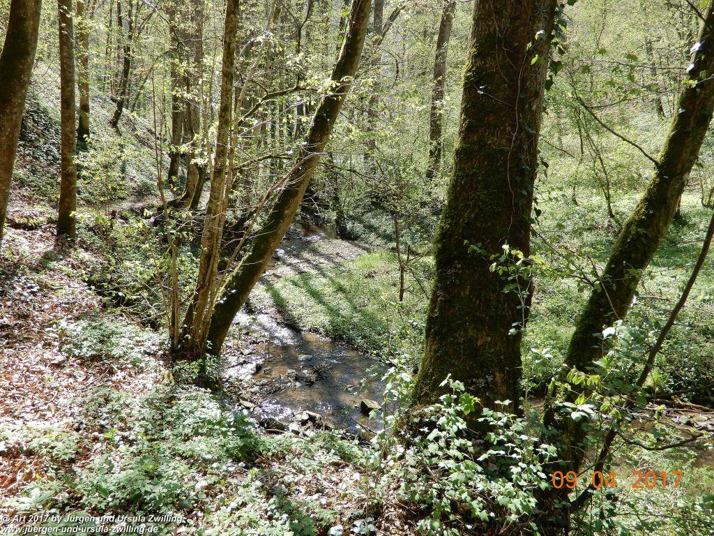 Philosophische Bildwanderung Hatzenporter Laysteig - Wiesen, Wein und weite Blicke - Mosel - Hunsrück