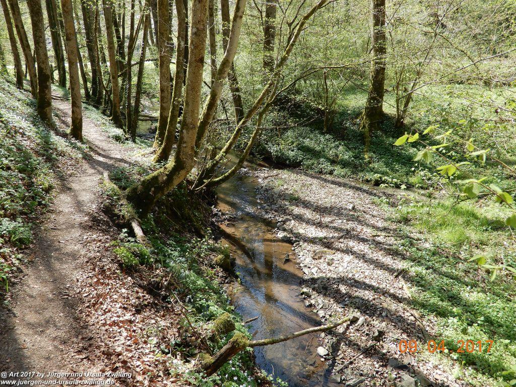 Philosophische Bildwanderung Hatzenporter Laysteig - Wiesen, Wein und weite Blicke - Mosel - Hunsrück