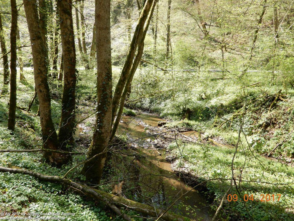 Philosophische Bildwanderung Hatzenporter Laysteig - Wiesen, Wein und weite Blicke - Mosel - Hunsrück