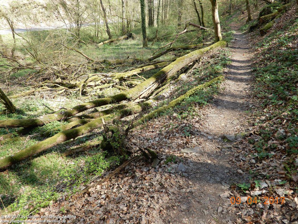 Philosophische Bildwanderung Hatzenporter Laysteig - Wiesen, Wein und weite Blicke - Mosel - Hunsrück
