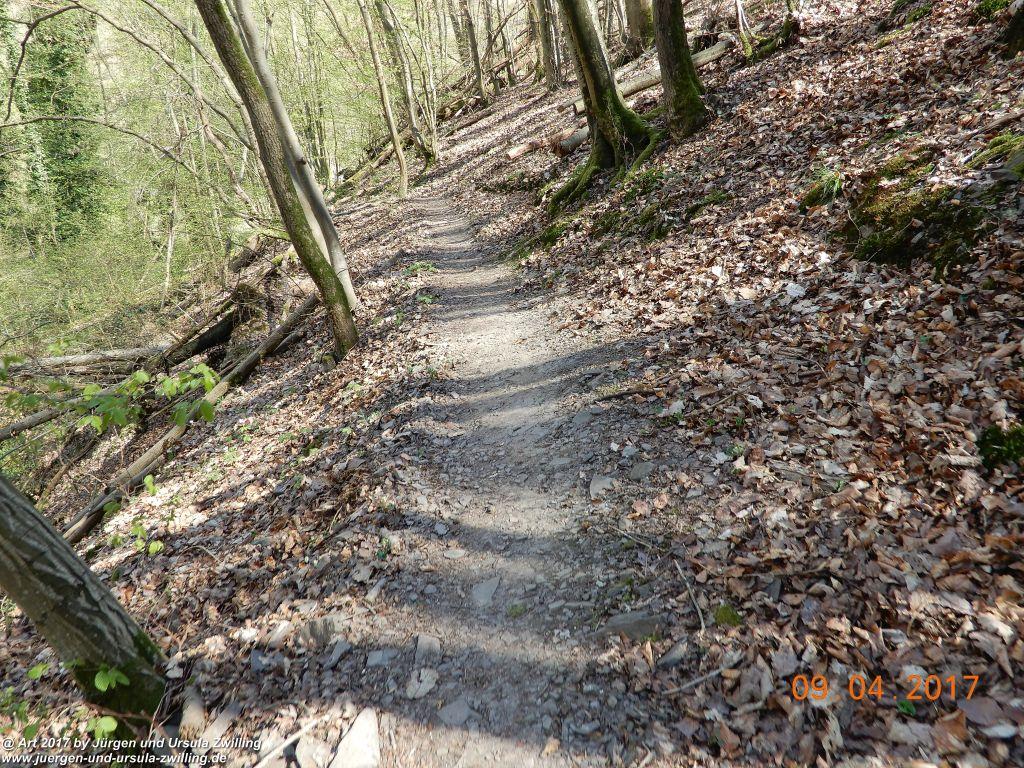 Philosophische Bildwanderung Hatzenporter Laysteig - Wiesen, Wein und weite Blicke - Mosel - Hunsrück