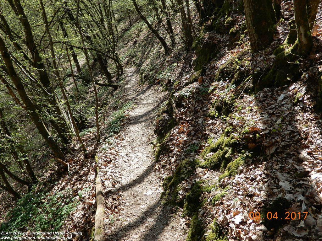 Philosophische Bildwanderung Hatzenporter Laysteig - Wiesen, Wein und weite Blicke - Mosel - Hunsrück