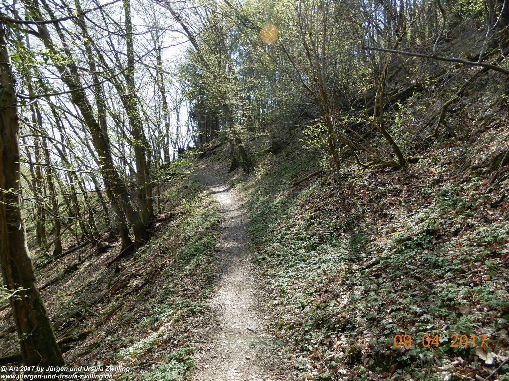 Philosophische Bildwanderung Hatzenporter Laysteig - Wiesen, Wein und weite Blicke - Mosel - Hunsrück