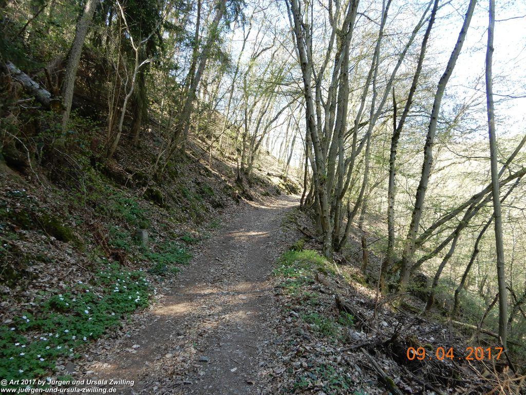 Philosophische Bildwanderung Hatzenporter Laysteig - Wiesen, Wein und weite Blicke - Mosel - Hunsrück