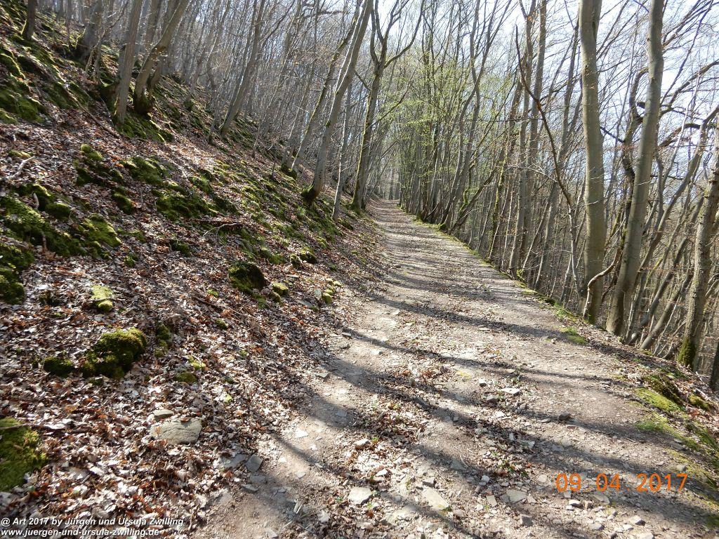 Philosophische Bildwanderung Hatzenporter Laysteig - Wiesen, Wein und weite Blicke - Mosel - Hunsrück