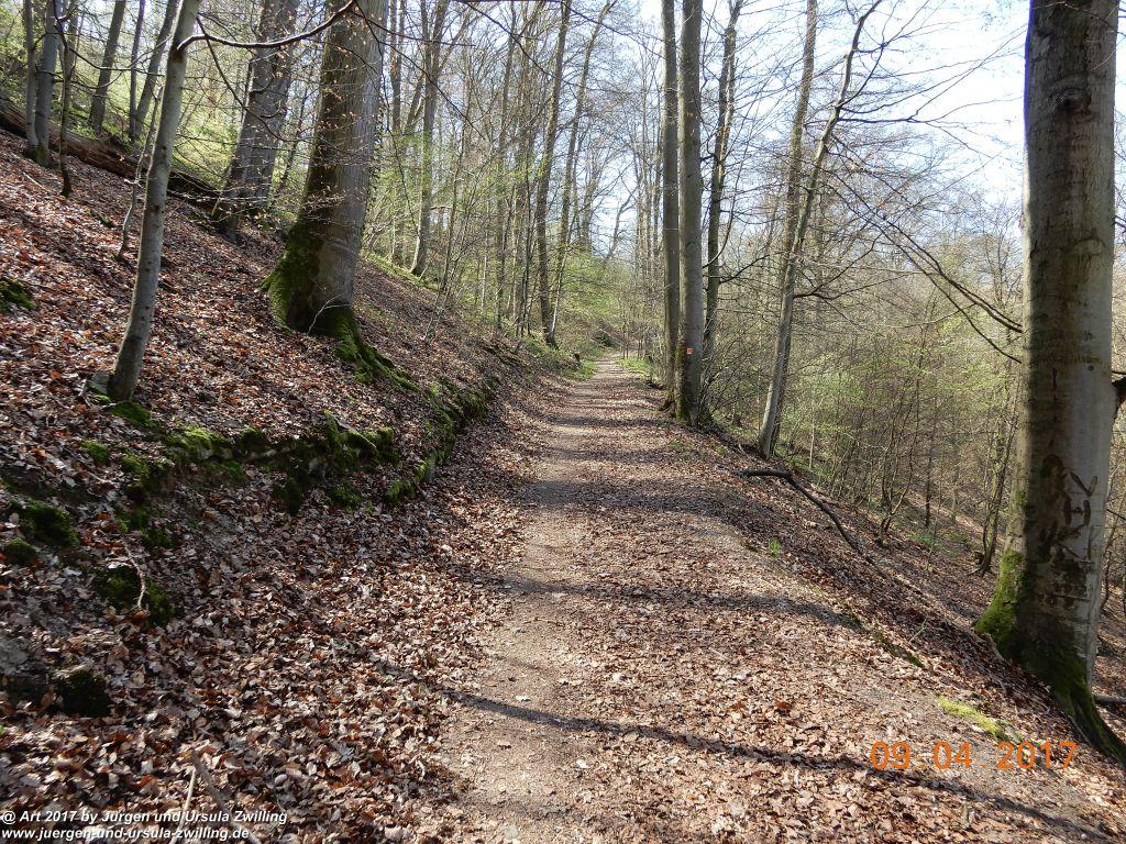 Philosophische Bildwanderung Hatzenporter Laysteig - Wiesen, Wein und weite Blicke - Mosel - Hunsrück