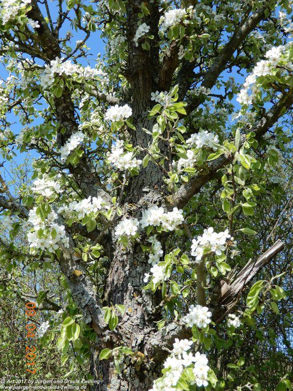 Philosophische Bildwanderung Hatzenporter Laysteig - Wiesen, Wein und weite Blicke - Mosel - Hunsrück