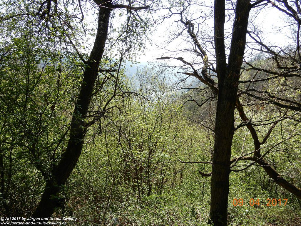 Philosophische Bildwanderung Hatzenporter Laysteig - Wiesen, Wein und weite Blicke - Mosel - Hunsrück