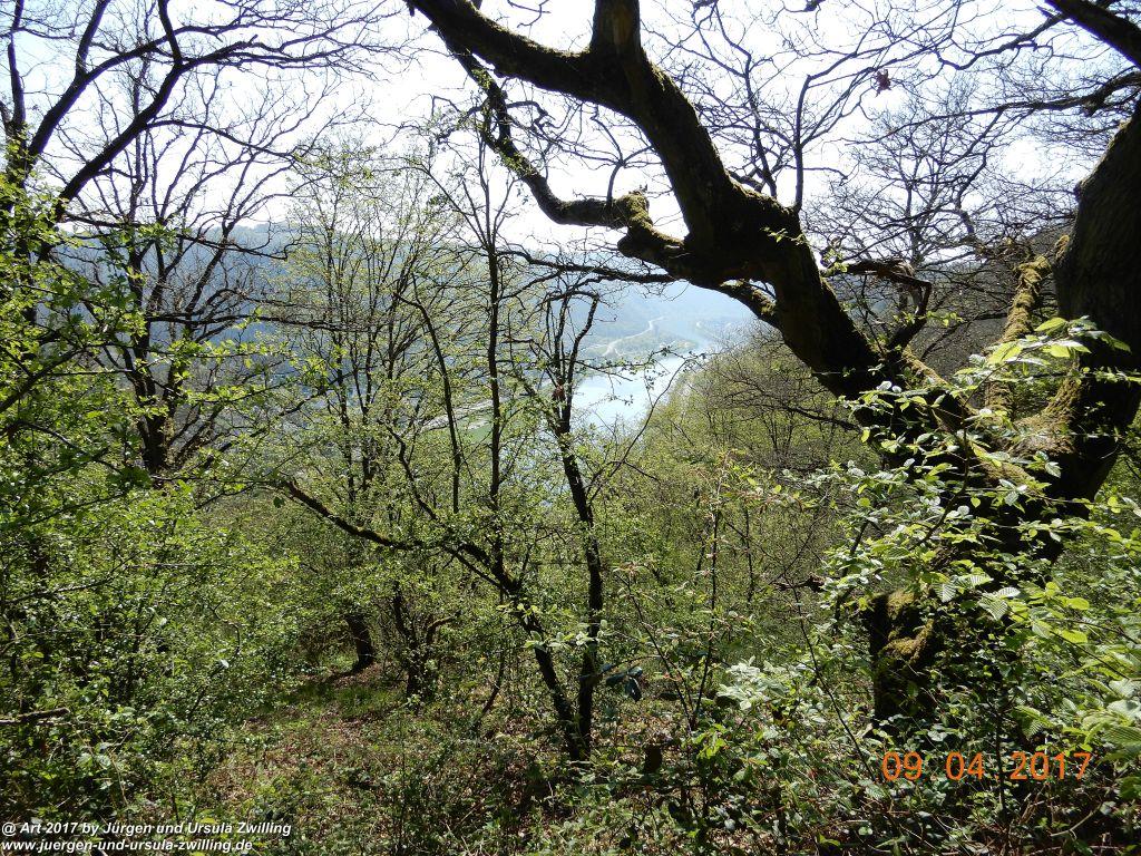 Philosophische Bildwanderung Hatzenporter Laysteig - Wiesen, Wein und weite Blicke - Mosel - Hunsrück