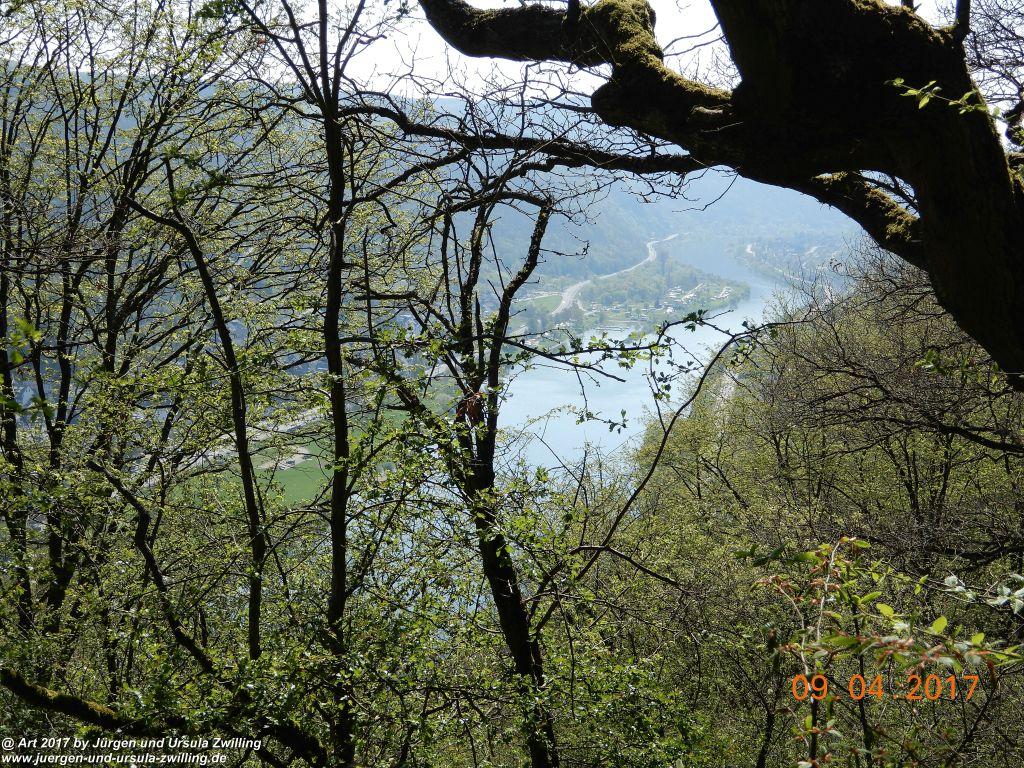 Philosophische Bildwanderung Hatzenporter Laysteig - Wiesen, Wein und weite Blicke - Mosel - Hunsrück
