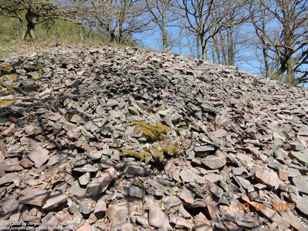 Philosophische Bildwanderung Hatzenporter Laysteig - Wiesen, Wein und weite Blicke - Mosel - Hunsrück