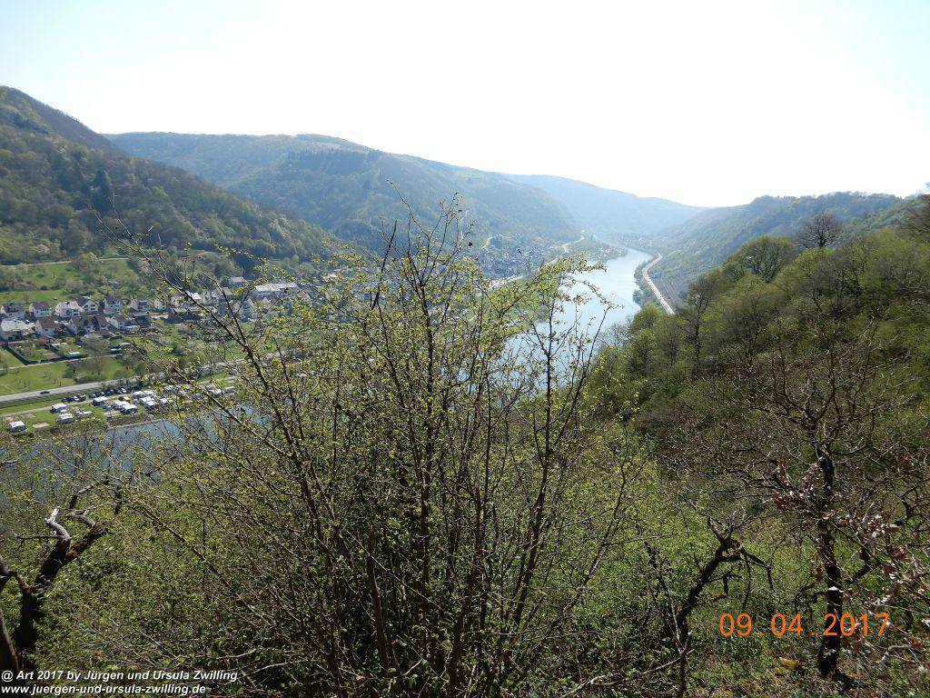 Philosophische Bildwanderung Hatzenporter Laysteig - Wiesen, Wein und weite Blicke - Mosel - Hunsrück