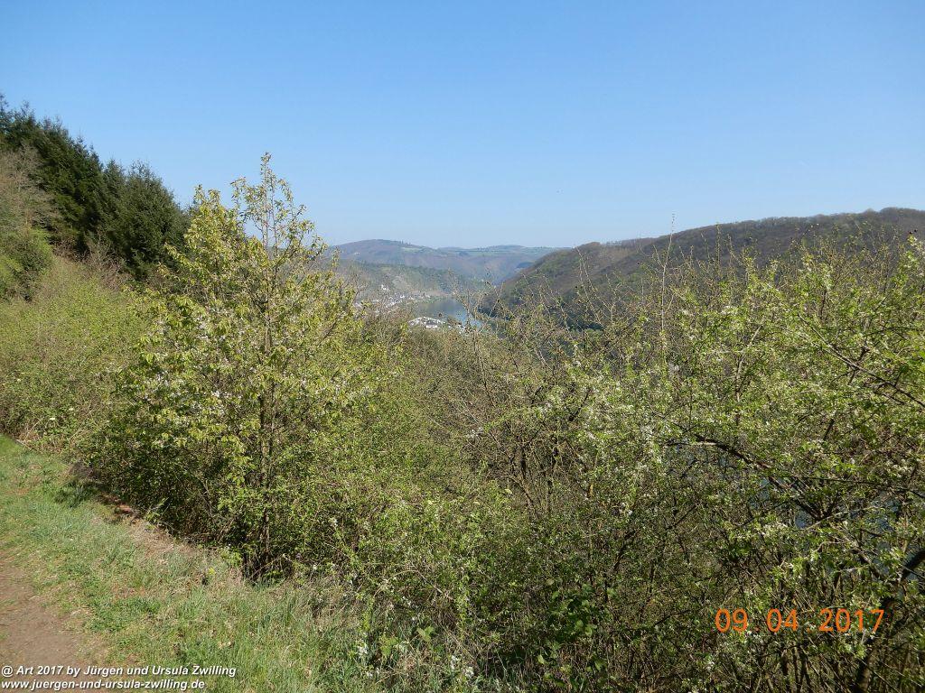 Philosophische Bildwanderung Hatzenporter Laysteig - Wiesen, Wein und weite Blicke - Mosel - Hunsrück