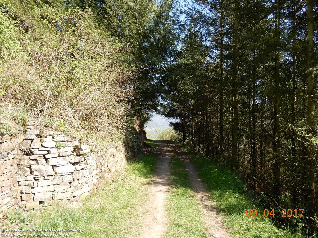 Philosophische Bildwanderung Hatzenporter Laysteig - Wiesen, Wein und weite Blicke - Mosel - Hunsrück