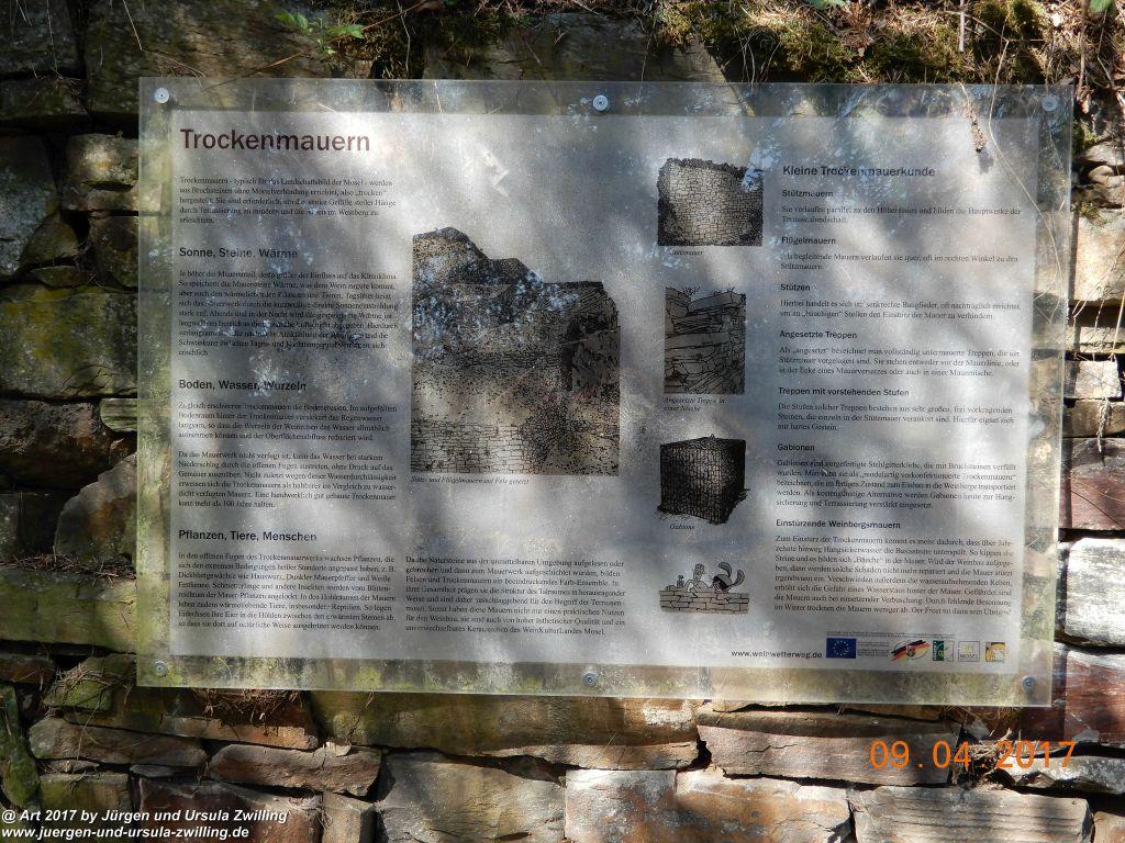 Philosophische Bildwanderung Hatzenporter Laysteig - Wiesen, Wein und weite Blicke - Mosel - Hunsrück