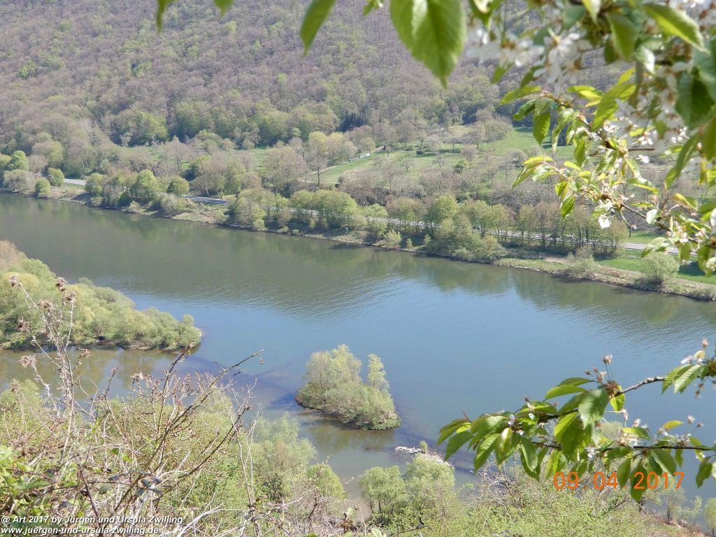 Philosophische Bildwanderung Hatzenporter Laysteig - Wiesen, Wein und weite Blicke - Mosel - Hunsrück