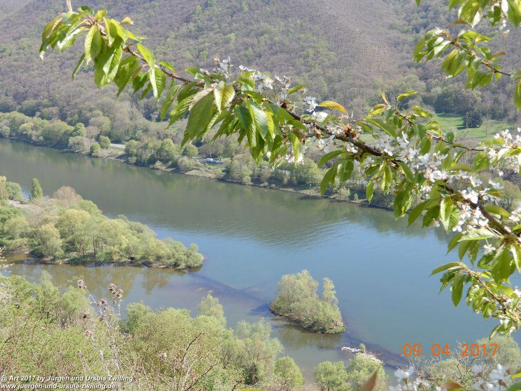 Philosophische Bildwanderung Hatzenporter Laysteig - Wiesen, Wein und weite Blicke - Mosel - Hunsrück