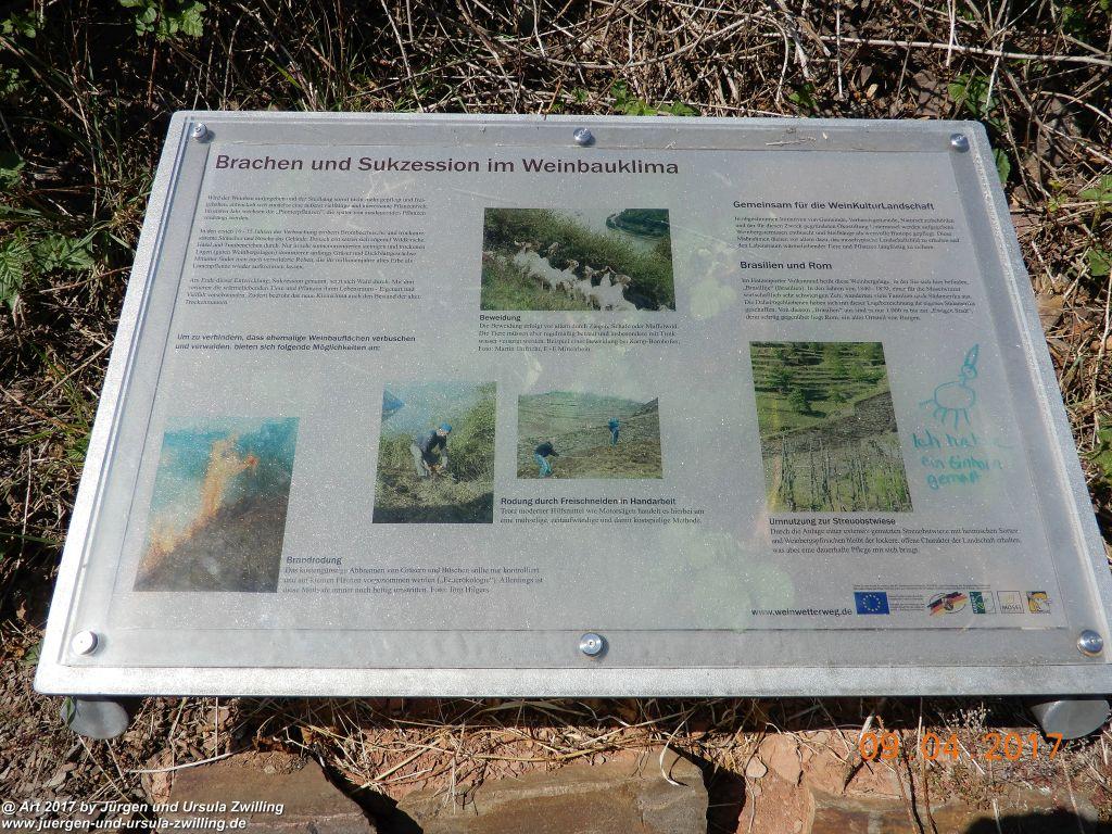 Philosophische Bildwanderung Hatzenporter Laysteig - Wiesen, Wein und weite Blicke - Mosel - Hunsrück