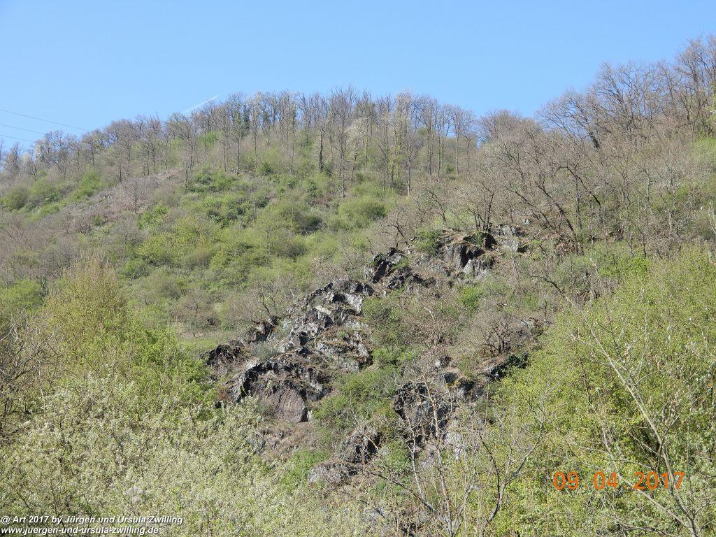 Philosophische Bildwanderung Hatzenporter Laysteig - Wiesen, Wein und weite Blicke - Mosel - Hunsrück