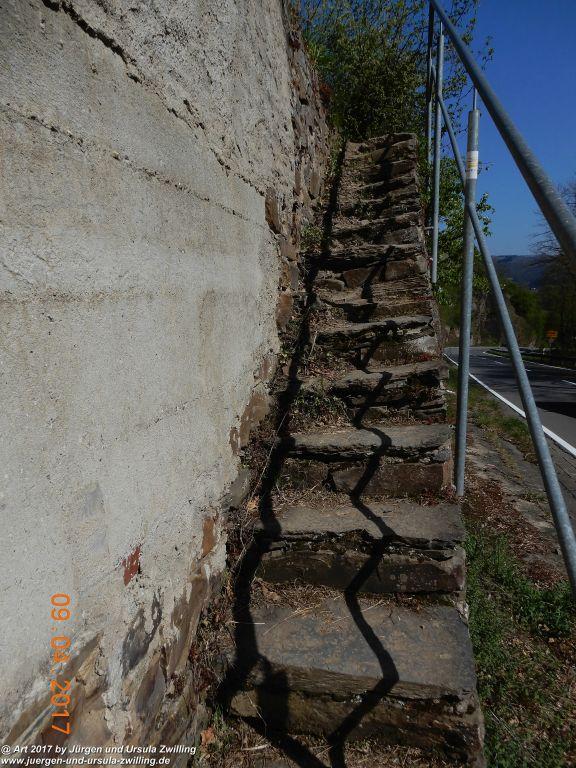 Philosophische Bildwanderung Hatzenporter Laysteig - Wiesen, Wein und weite Blicke - Mosel - Hunsrück