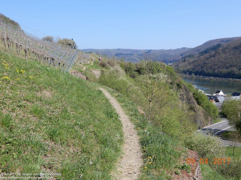 Philosophische Bildwanderung Hatzenporter Laysteig - Wiesen, Wein und weite Blicke - Mosel - Hunsrück