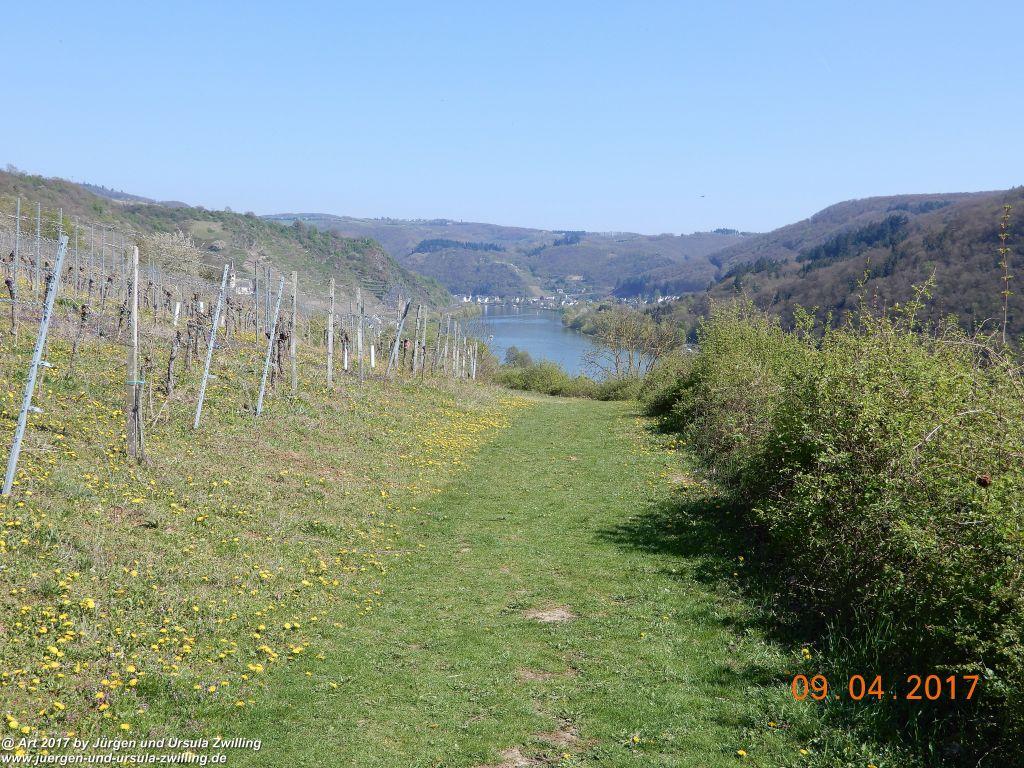 Philosophische Bildwanderung Hatzenporter Laysteig - Wiesen, Wein und weite Blicke - Mosel - Hunsrück