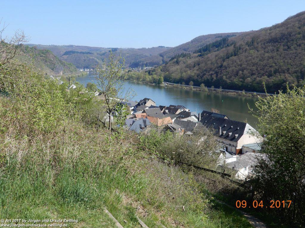 Philosophische Bildwanderung Hatzenporter Laysteig - Wiesen, Wein und weite Blicke - Mosel - Hunsrück