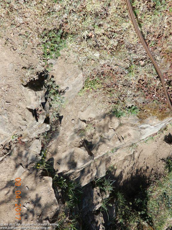 Philosophische Bildwanderung Hatzenporter Laysteig - Wiesen, Wein und weite Blicke - Mosel - Hunsrück