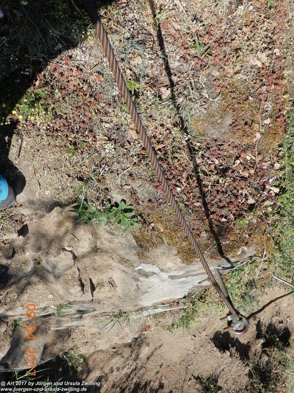 Philosophische Bildwanderung Hatzenporter Laysteig - Wiesen, Wein und weite Blicke - Mosel - Hunsrück