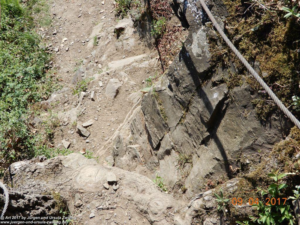 Philosophische Bildwanderung Hatzenporter Laysteig - Wiesen, Wein und weite Blicke - Mosel - Hunsrück