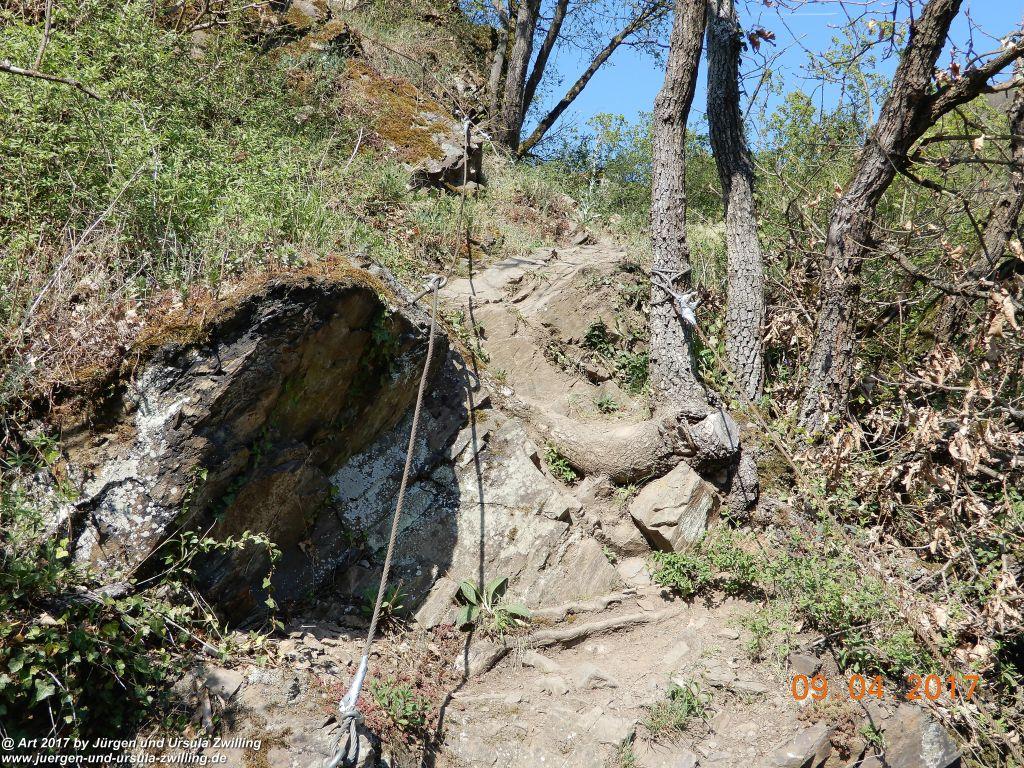 Philosophische Bildwanderung Hatzenporter Laysteig - Wiesen, Wein und weite Blicke - Mosel - Hunsrück
