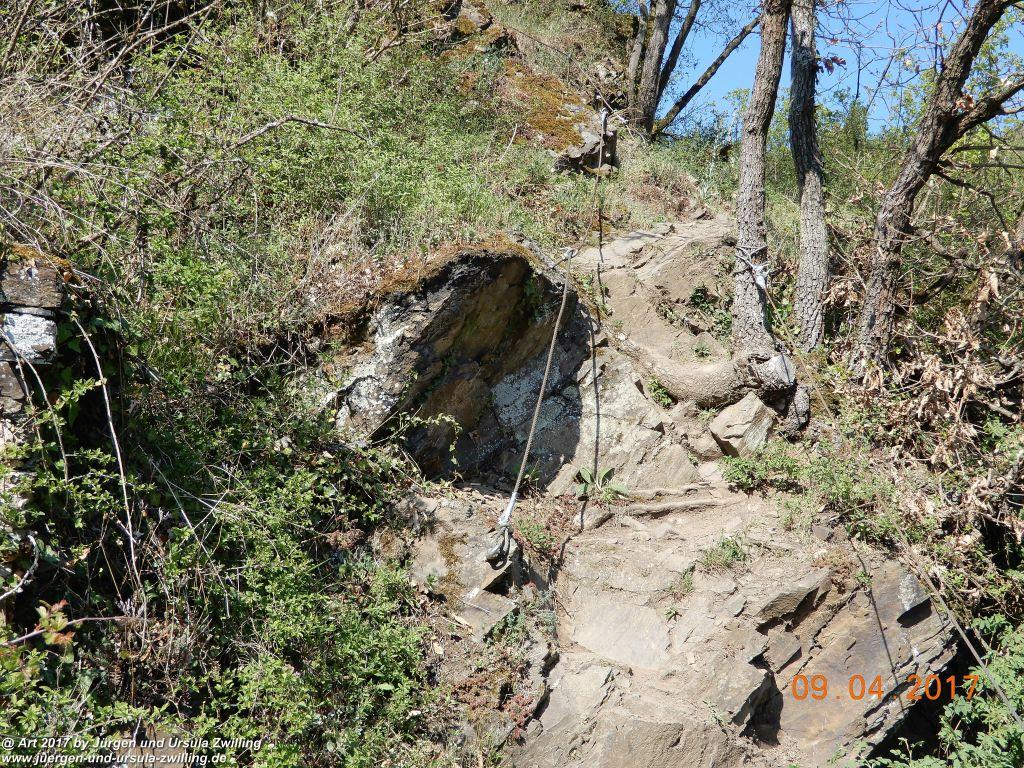 Philosophische Bildwanderung Hatzenporter Laysteig - Wiesen, Wein und weite Blicke - Mosel - Hunsrück