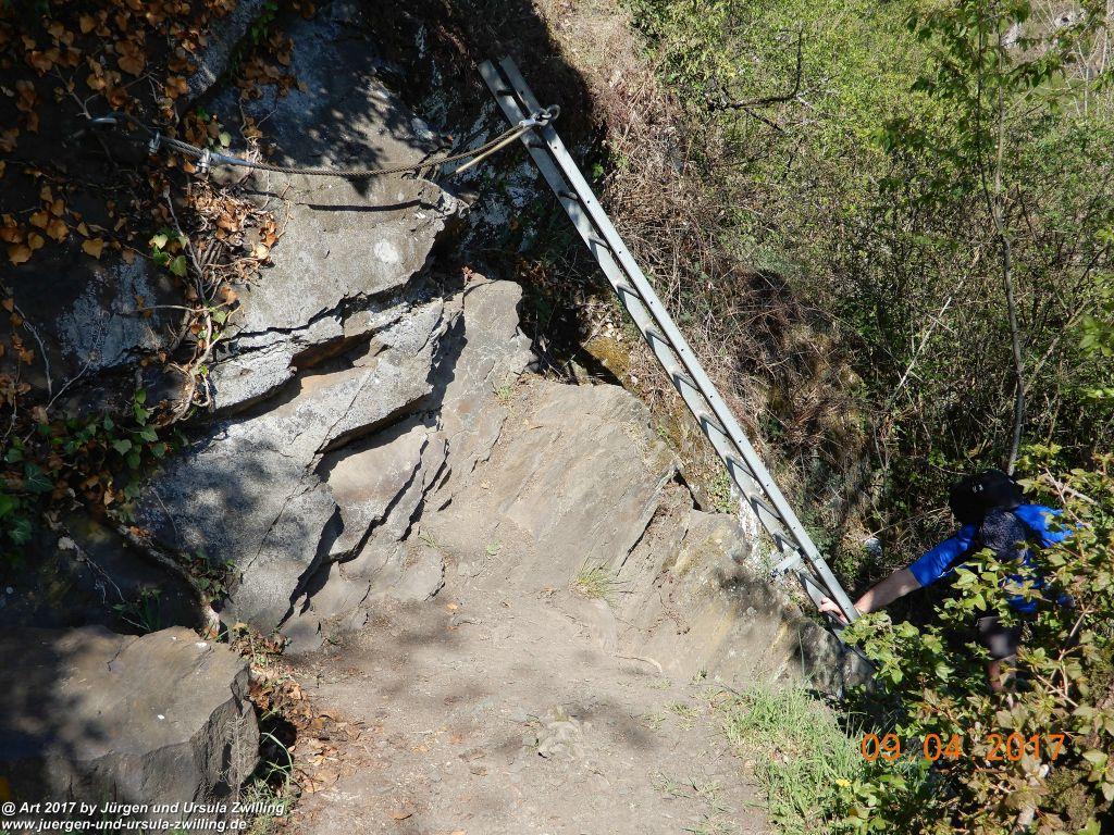Philosophische Bildwanderung Hatzenporter Laysteig - Wiesen, Wein und weite Blicke - Mosel - Hunsrück