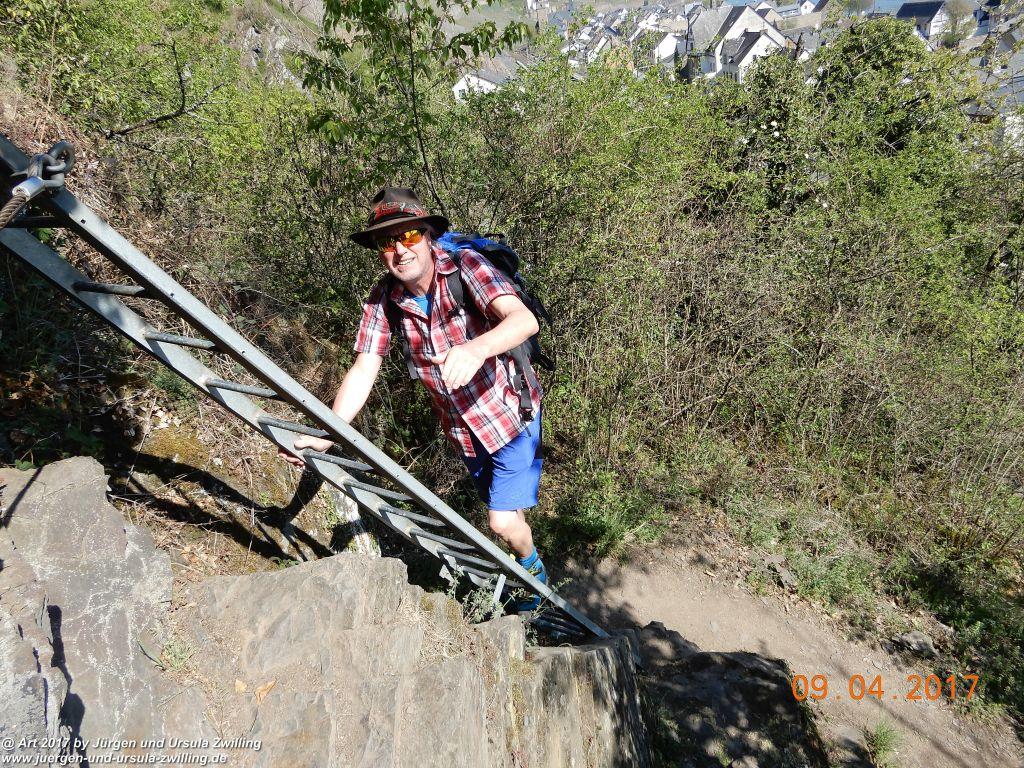 Philosophische Bildwanderung Hatzenporter Laysteig - Wiesen, Wein und weite Blicke - Mosel - Hunsrück