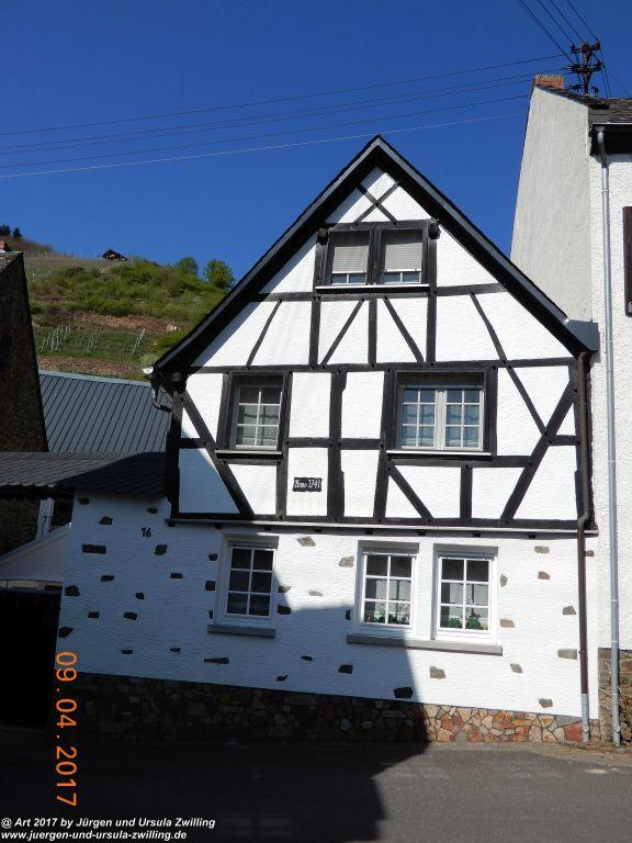 Philosophische Bildwanderung Hatzenporter Laysteig - Wiesen, Wein und weite Blicke - Mosel - Hunsrück