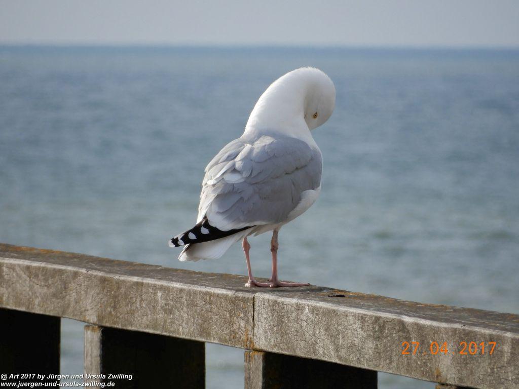 Mers-les-Bains - Normandie - Frankreich