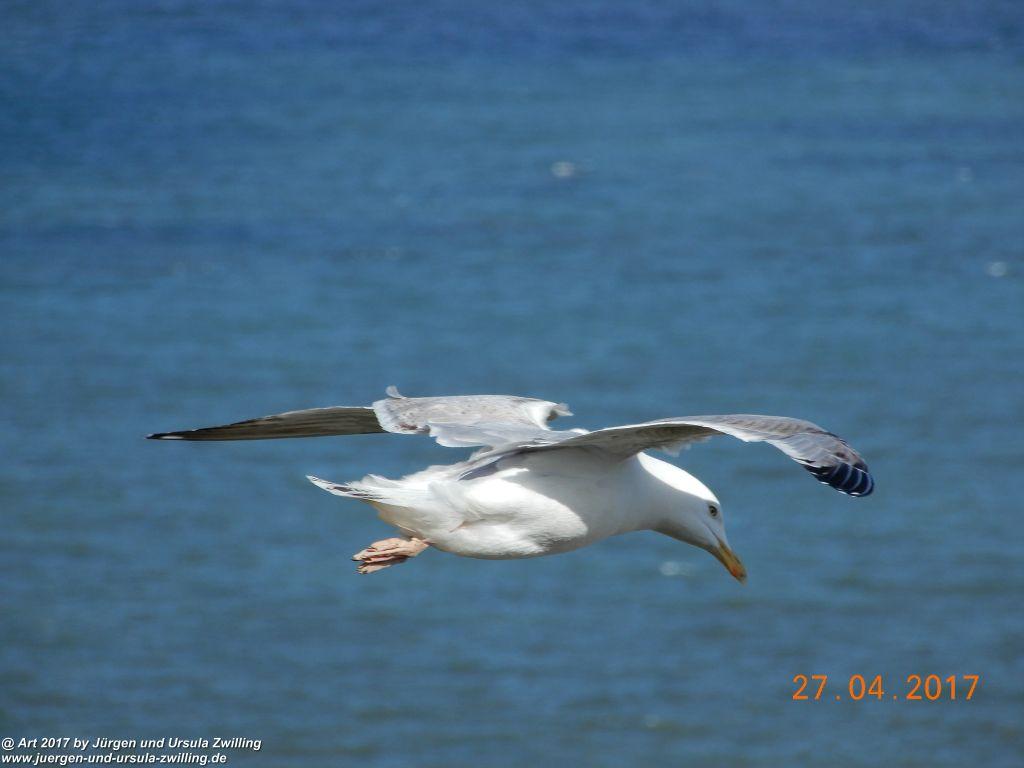 Philosophische Bildwanderung Die Felsen von Le Tréport und der Strand von Criel - Normandie - Frankreich