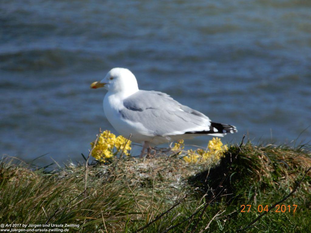Philosophische Bildwanderung Die Felsen von Le Tréport und der Strand von Criel - Normandie - Frankreich