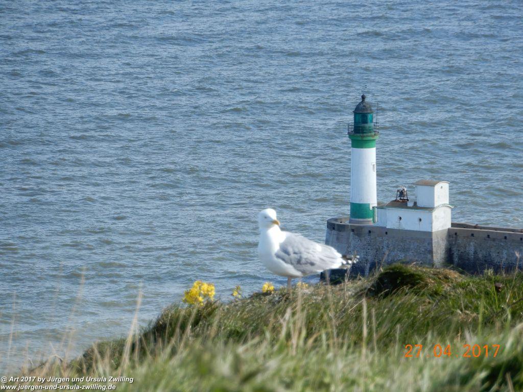 Philosophische Bildwanderung Die Felsen von Le Tréport und der Strand von Criel - Normandie - Frankreich