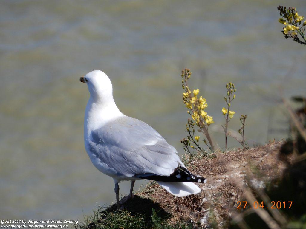 Philosophische Bildwanderung Die Felsen von Le Tréport und der Strand von Criel - Normandie - Frankreich
