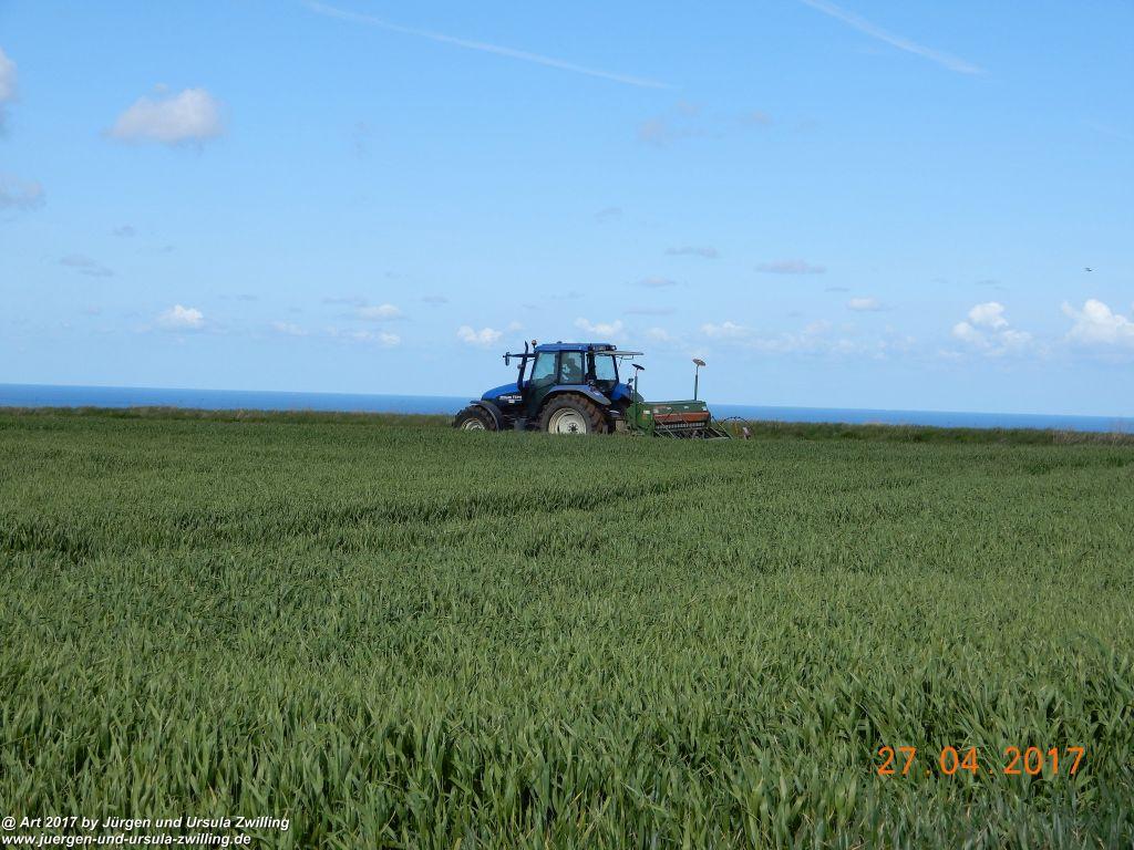 Philosophische Bildwanderung Die Felsen von Le Tréport und der Strand von Criel - Normandie - Frankreich
