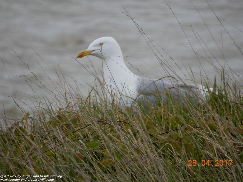 Philosophische Bildwanderung Die Klippen von Criel - Alabasterküste - Normandie - Frankreich