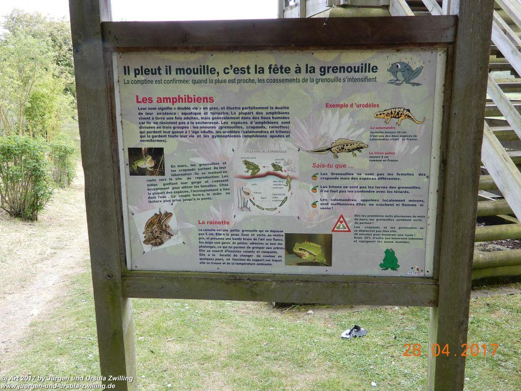 Philosophische Bildwanderung Die Klippen von Criel - Alabasterküste - Normandie - Frankreich