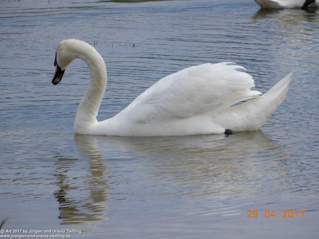 Philosophische Bildwanderung Die Klippen von Criel - Alabasterküste - Normandie - Frankreich
