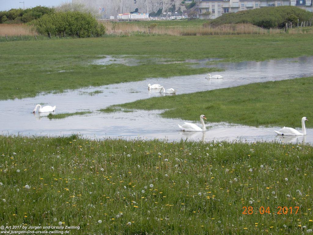 Philosophische Bildwanderung Die Klippen von Criel - Alabasterküste - Normandie - Frankreich